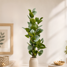 Evergreen Eucalyptus Artificial Foliage Stem | Diwali Decor - https://artecasa.in/