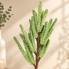 Meadow Mist Green Pampas Reed Stem | Diwali Decor - https://artecasa.in/
