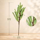 Meadow Mist Green Pampas Reed Stem | Diwali Decor - https://artecasa.in/