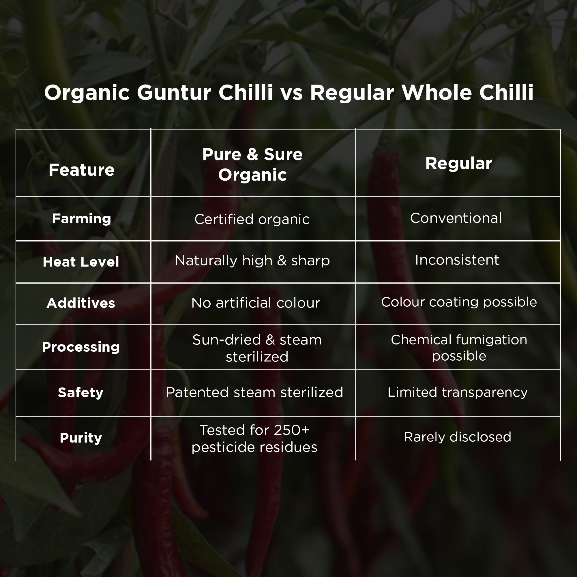 Guntur Chilli Comparison