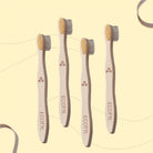 Ultra Soft Bamboo Tooth Brush - Set of 4 - Ecotyl - 100% Organic I Sustainable