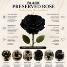 Long lasting black rose flower for gifting