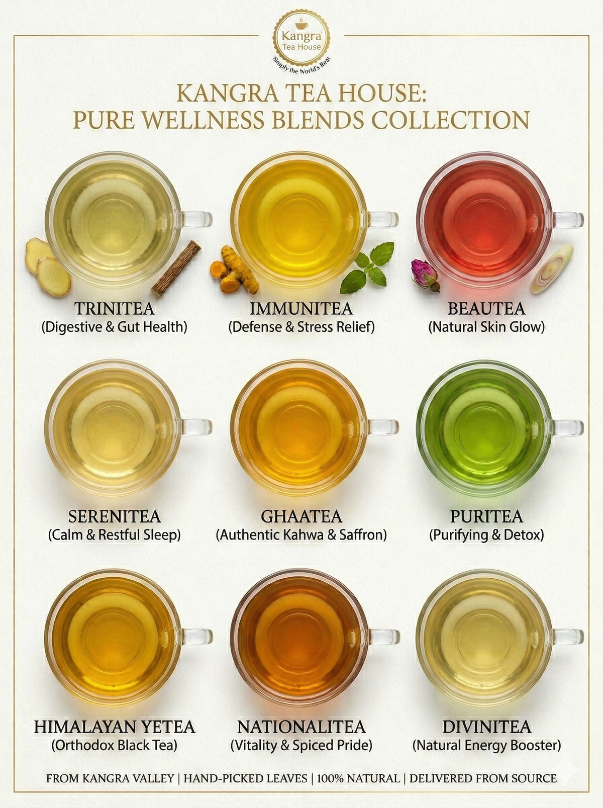 Brewed organic Kangra Himalayan teas in cups – whole leaf tea
