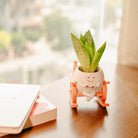 Seat of Stories planter - https://artecasa.in/