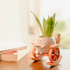 Seat of Stories planter - https://artecasa.in/