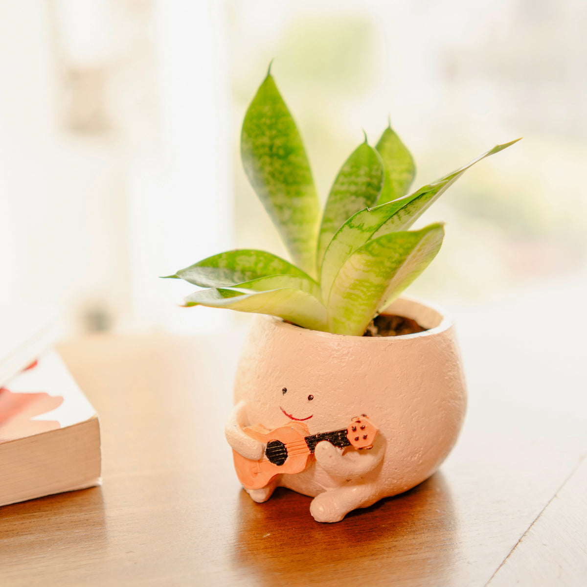 The Jazzy Planter - https://artecasa.in/