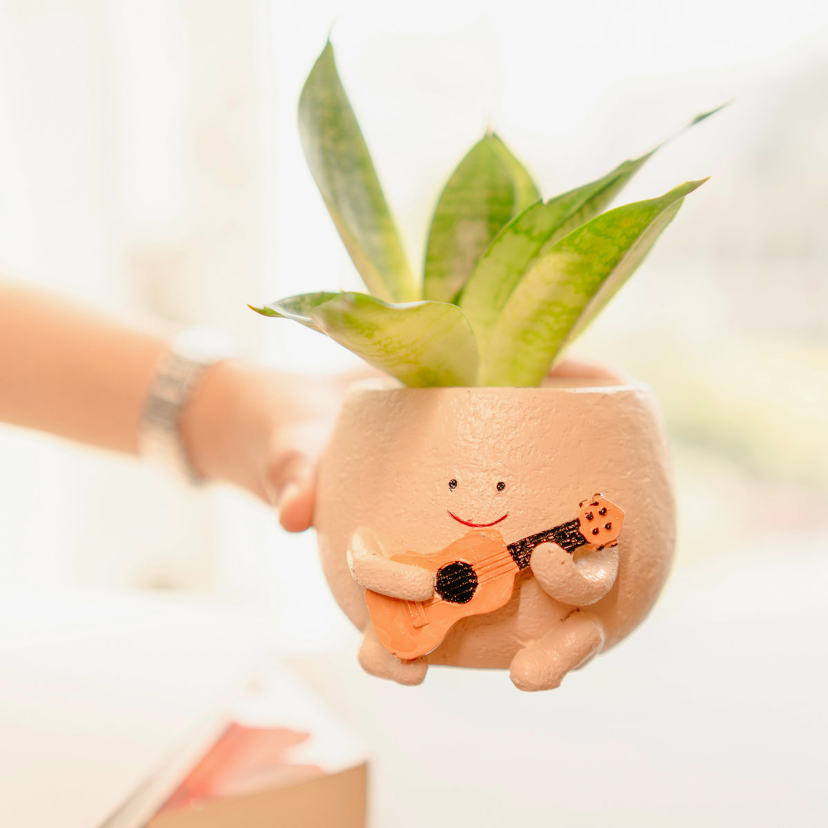 The Jazzy Planter - https://artecasa.in/