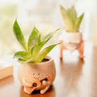 The Jazzy Planter - https://artecasa.in/