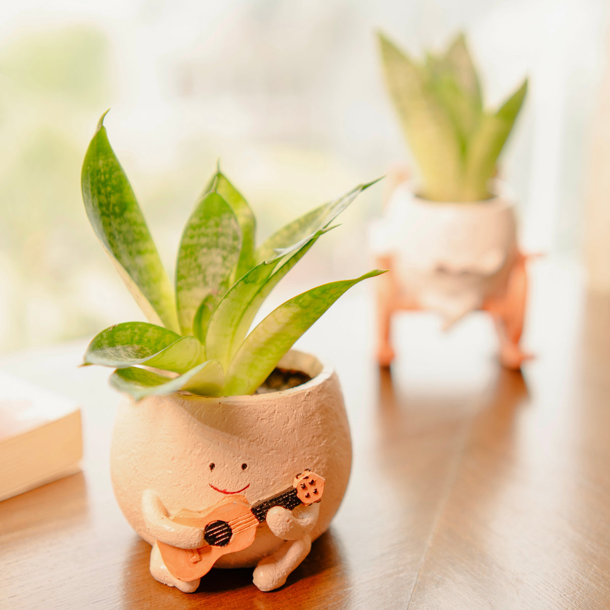 The Jazzy Planter - https://artecasa.in/