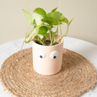 Face of Green Planter - https://artecasa.in/