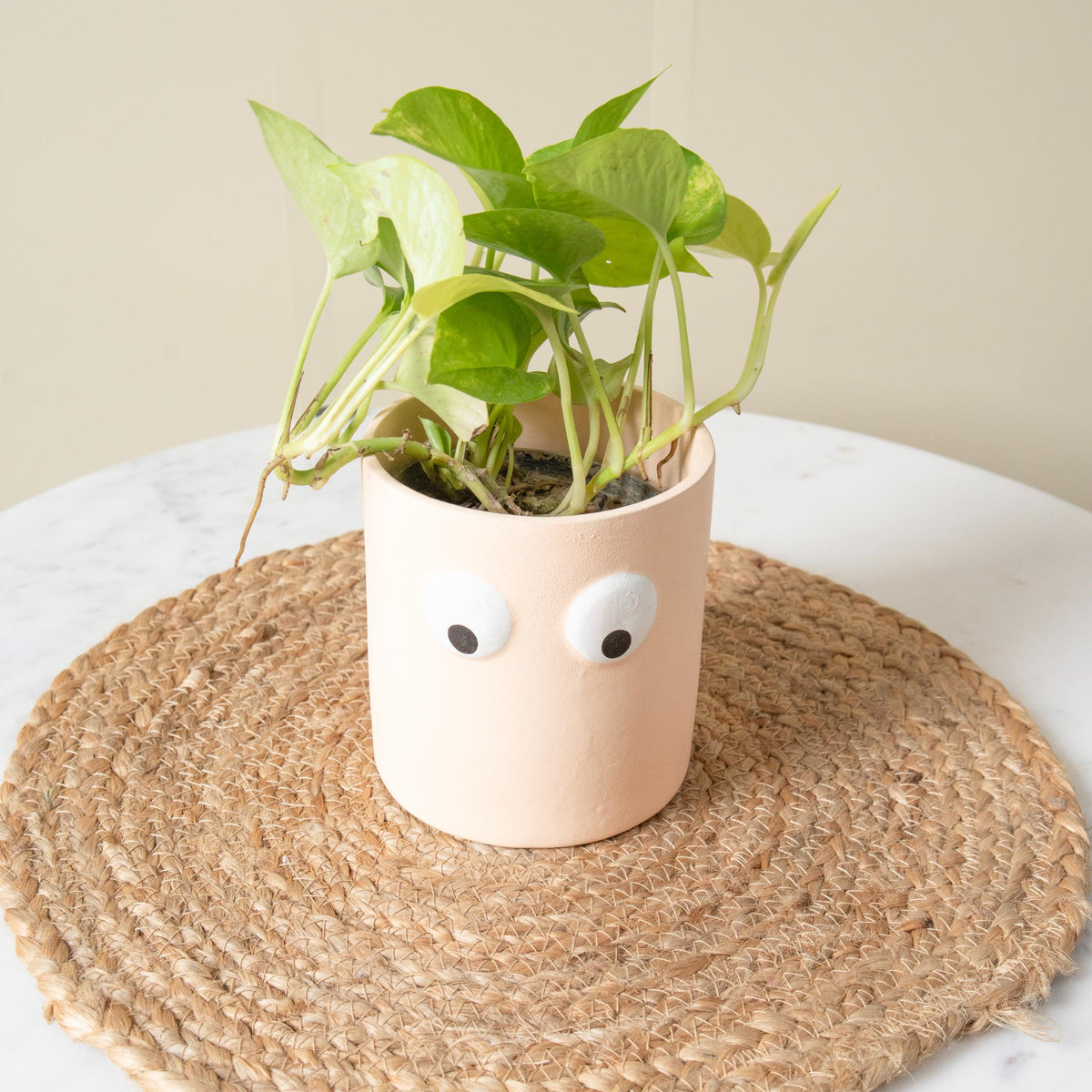 Face of Green Planter - https://artecasa.in/