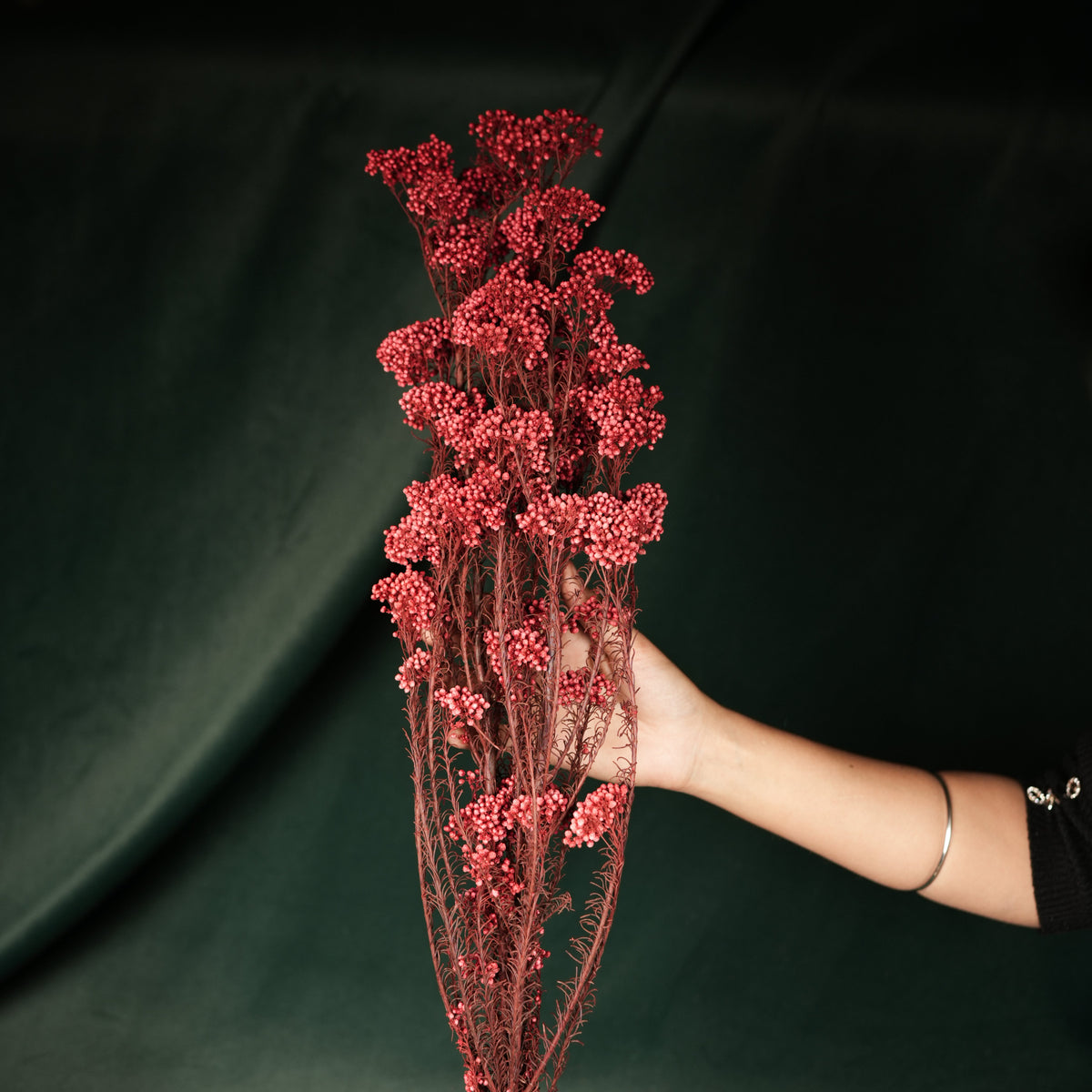 Dried Rice Flowers for Decor | Natural Floral Bunch - https://artecasa.in/