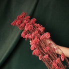 Dried Rice Flowers for Decor | Natural Floral Bunch - https://artecasa.in/