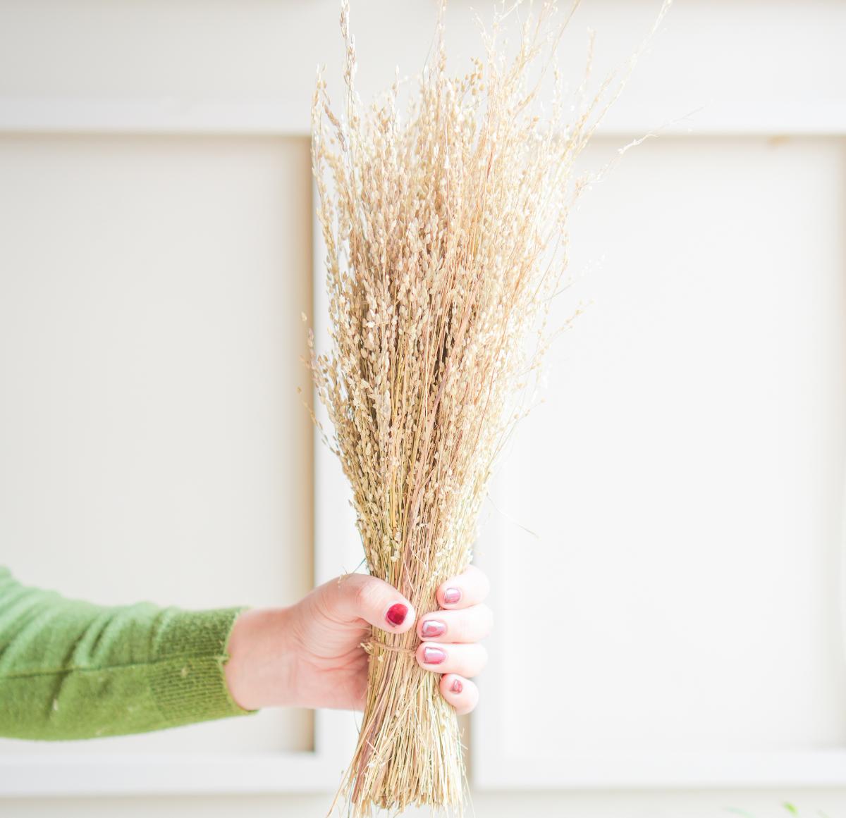 Star Grass Dried Flower Bunch | Aesthetic Natural Dried Flowers for Home Decor & Vase Styling – ArteCasa - https://artecasa.in/
