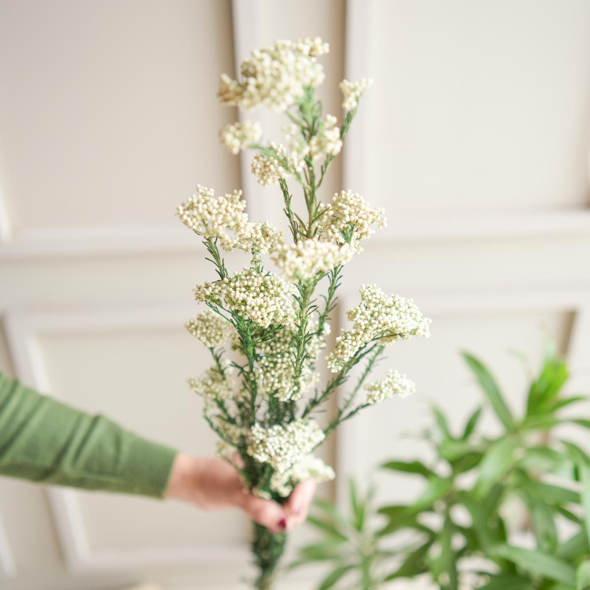 Rice flower-White - https://artecasa.in/