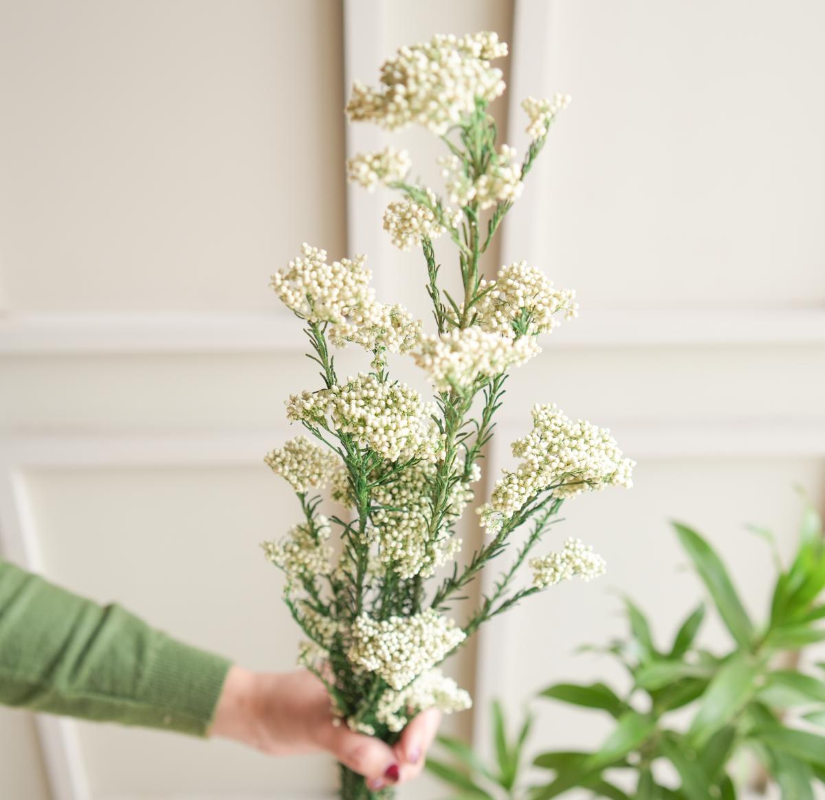 Rice flower-White - https://artecasa.in/