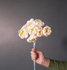 Dual shade sola peony-Yellow and white - https://artecasa.in/