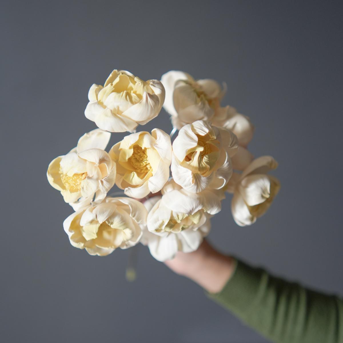 Dual shade sola peony-Yellow and white - https://artecasa.in/