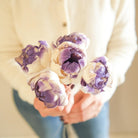 Dual shade sola peony-Purple and white - https://artecasa.in/