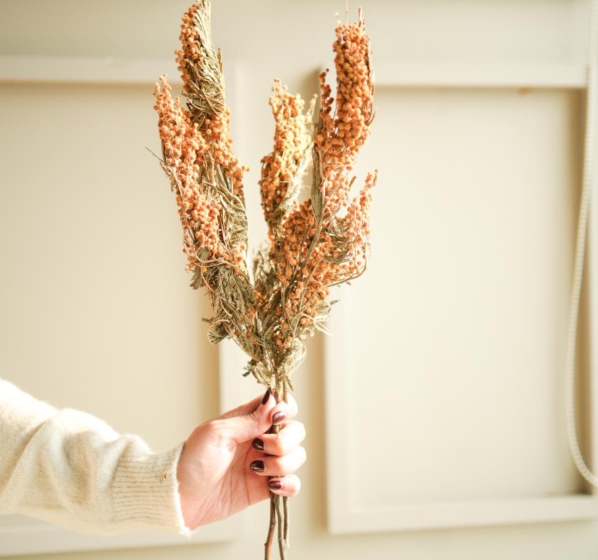Dried Mimosa Flower Bunch for Home Décor - https://artecasa.in/