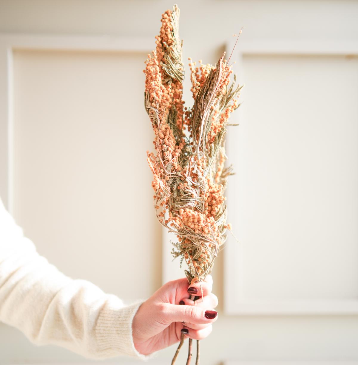 Dried Mimosa Flower Bunch for Home Décor - https://artecasa.in/