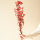 Dark Pink Rice Flower Dried Bunch | Aesthetic Natural Dried Flowers for Home Decor & Gifting – ArteCasa - https://artecasa.in/