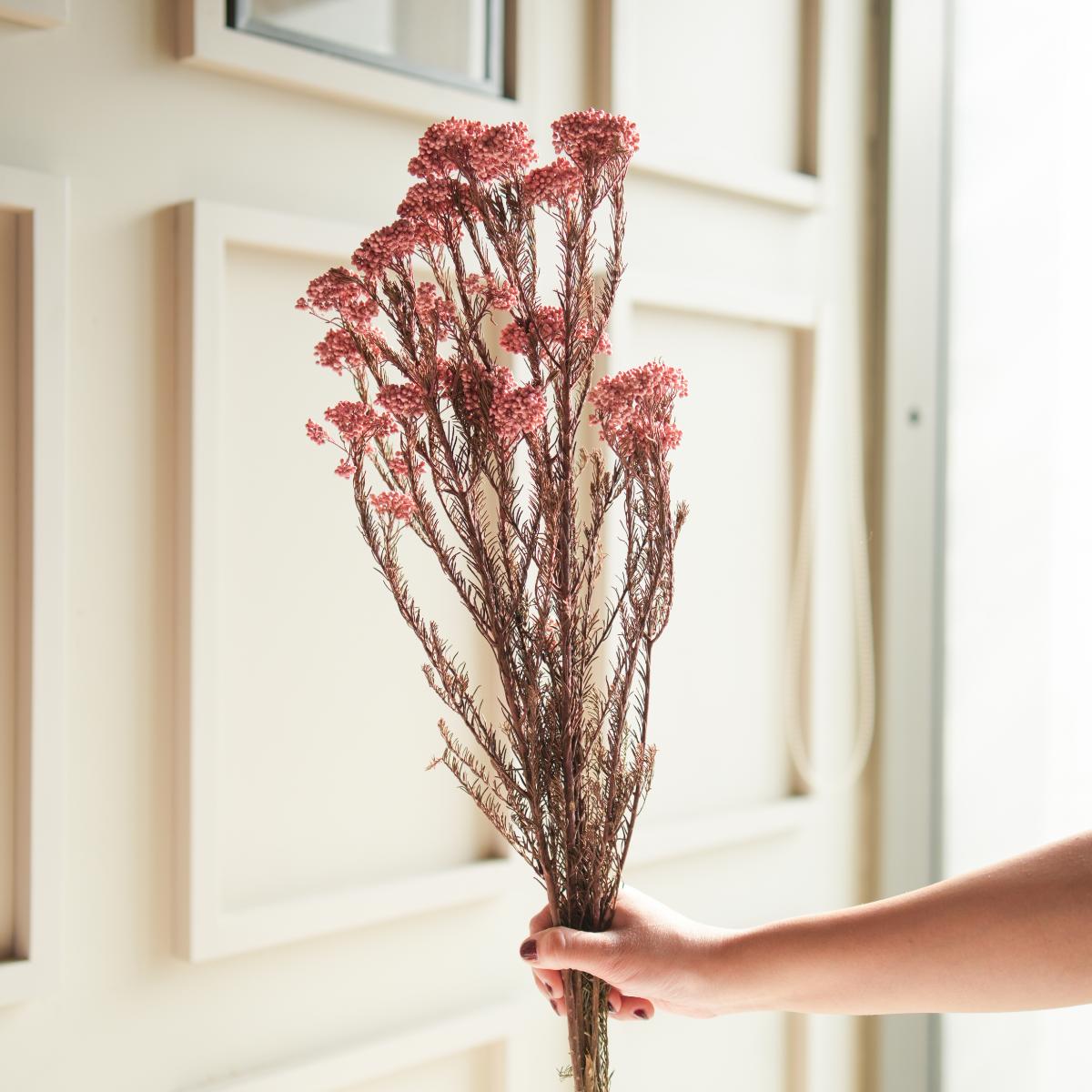 Light Pink Rice Flower Dried Bunch | Aesthetic Natural Dried Flowers for Home Decor & Gifting – ArteCasa - https://artecasa.in/