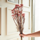 Light Pink Rice Flower Dried Bunch | Aesthetic Natural Dried Flowers for Home Decor & Gifting – ArteCasa - https://artecasa.in/