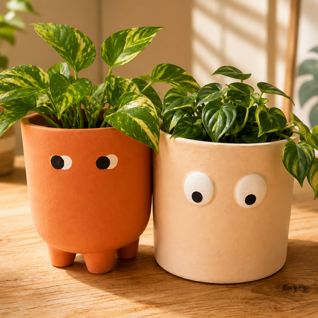 Grande Form Large Face Planter Set of 2 – Orange & White - https://artecasa.in/