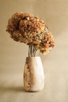 Dombeya flower bunch - https://artecasa.in/