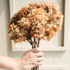 Dombeya flower bunch - https://artecasa.in/