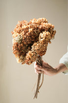 Dombeya flower bunch - https://artecasa.in/