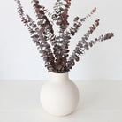 Brown Eucalyptus leaves - https://artecasa.in/