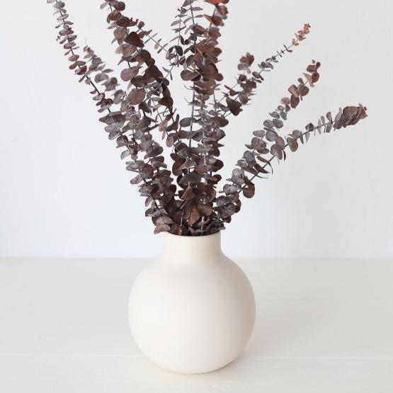 Brown Eucalyptus leaves - https://artecasa.in/