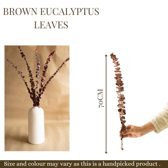 Brown Eucalyptus leaves - https://artecasa.in/