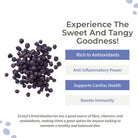 Natural Dried Blueberries - Ecotyl - 100% Organic I Sustainable