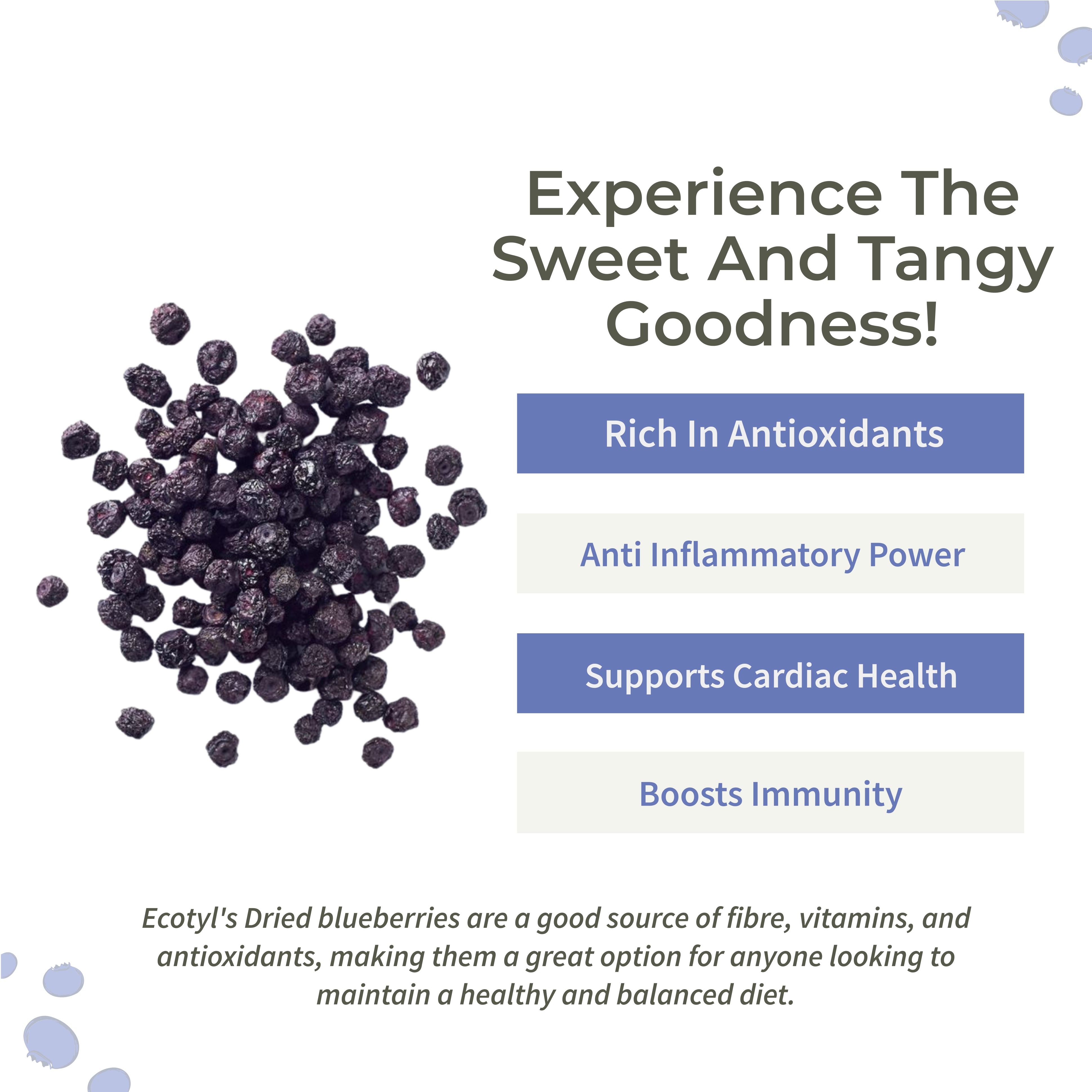 Natural Dried Blueberries - Ecotyl - 100% Organic I Sustainable