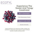 Dried Blueberres & Dried Cranberries Combo - Ecotyl - 100% Organic I Sustainable