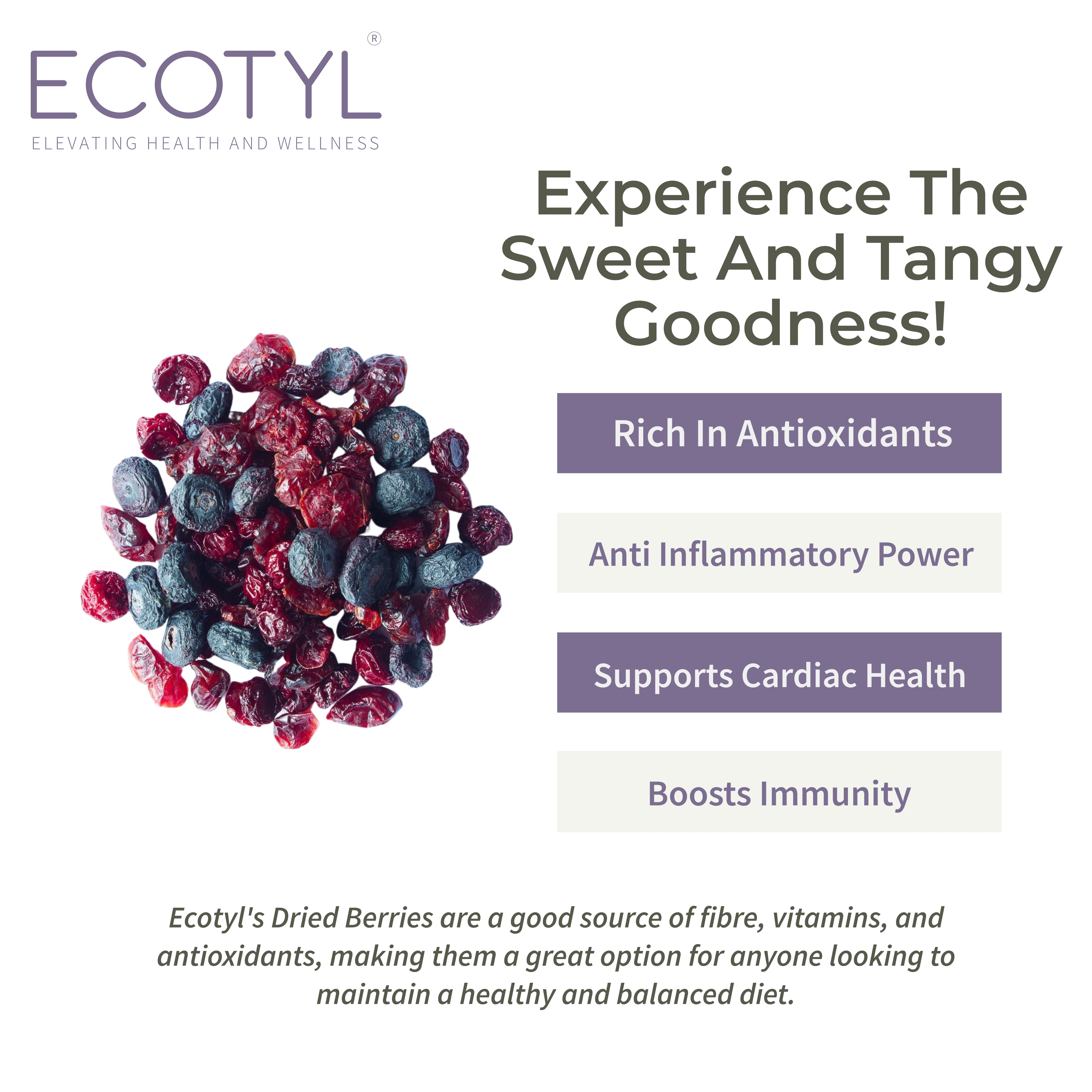 Dried Blueberres & Dried Cranberries Combo - Ecotyl - 100% Organic I Sustainable