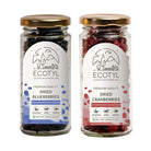 Dried Blueberres & Dried Cranberries Combo - Ecotyl - 100% Organic I Sustainable