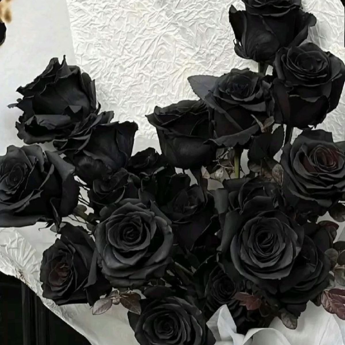 Decorative black preserved rose for floral arrangements