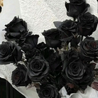Decorative black preserved rose for floral arrangements