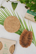 A flat lay of an eco-friendly kitchen cleaning set featuring a round coconut coir scrubber and a vegetable brush made from natural coconut fibers, placed on palm leaves with green foliage and sustainable packaging, reflecting Almitra Sustainables’ commitment to zero-waste living.