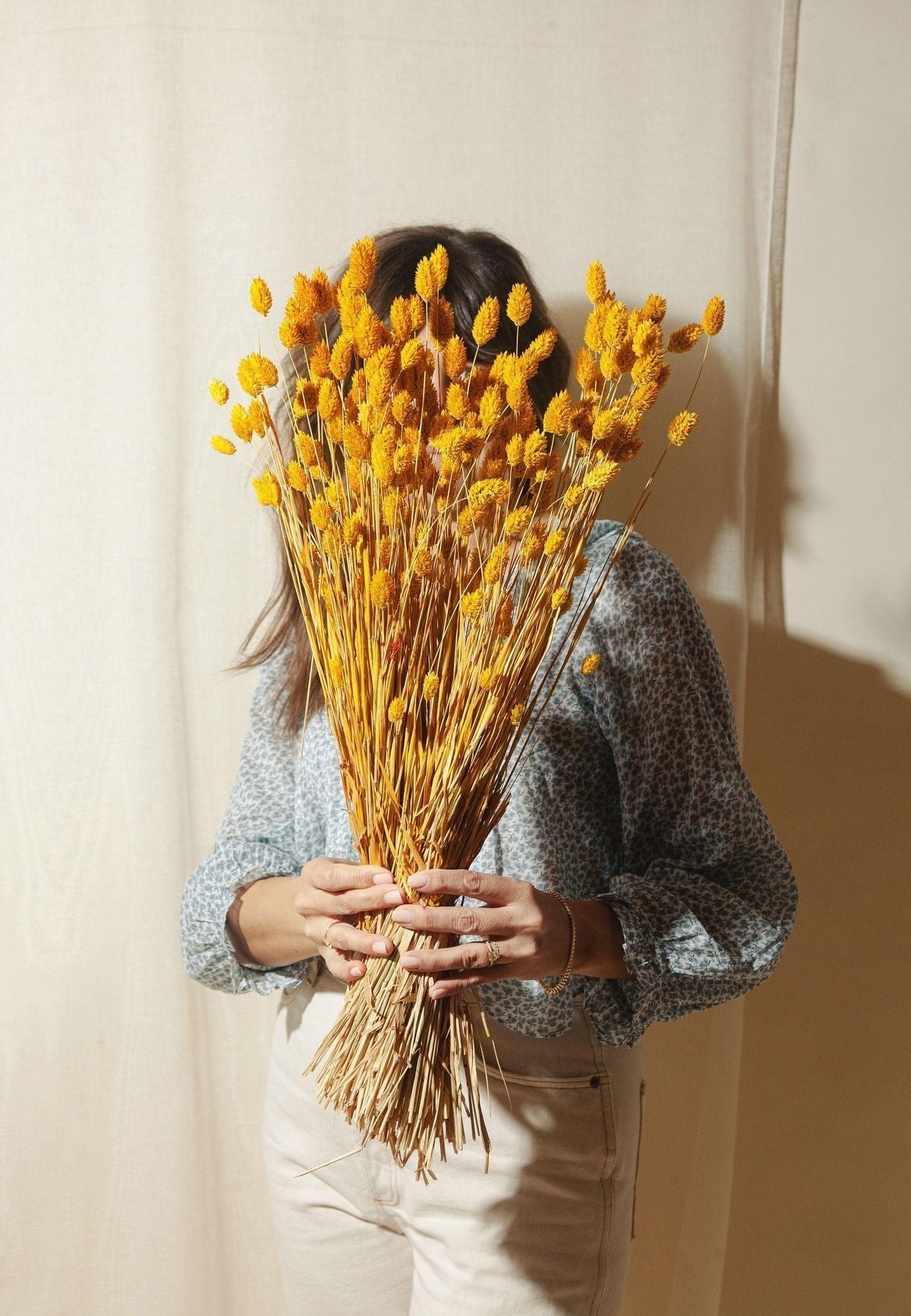 Phalaris- Yellow - https://artecasa.in/