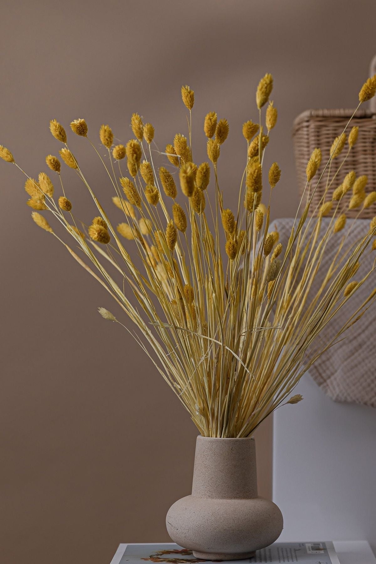 Phalaris- Yellow - https://artecasa.in/