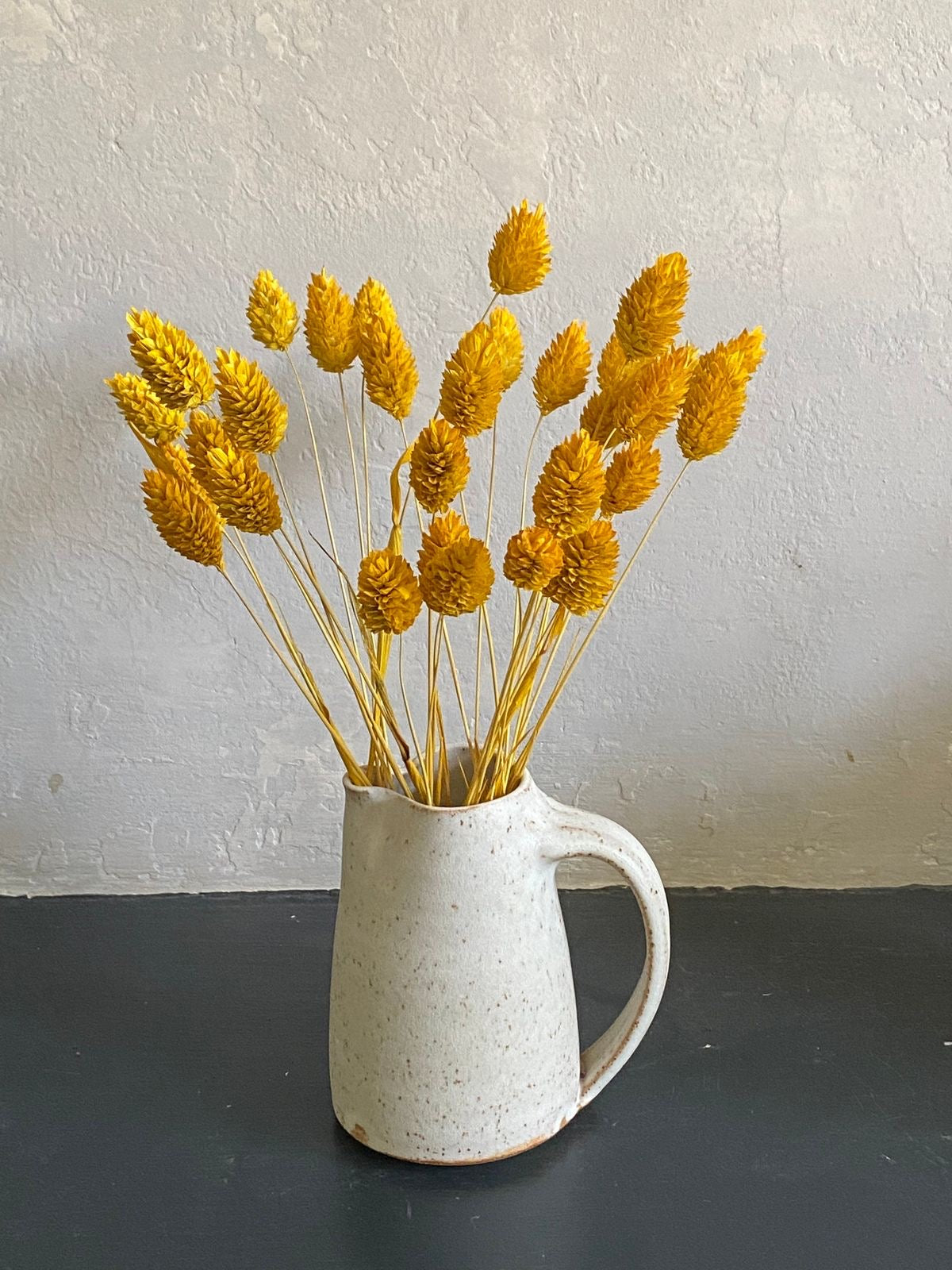 Phalaris- Yellow - https://artecasa.in/