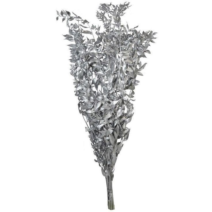 Silver Ruscus Dried Flower Bunch Décor - https://artecasa.in/