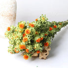 Dried safflower - https://artecasa.in/