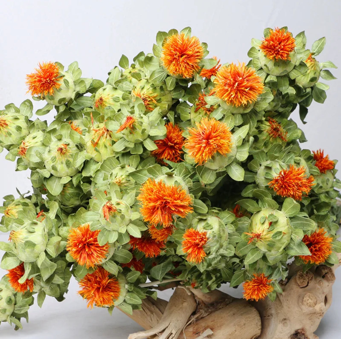 Dried safflower - https://artecasa.in/