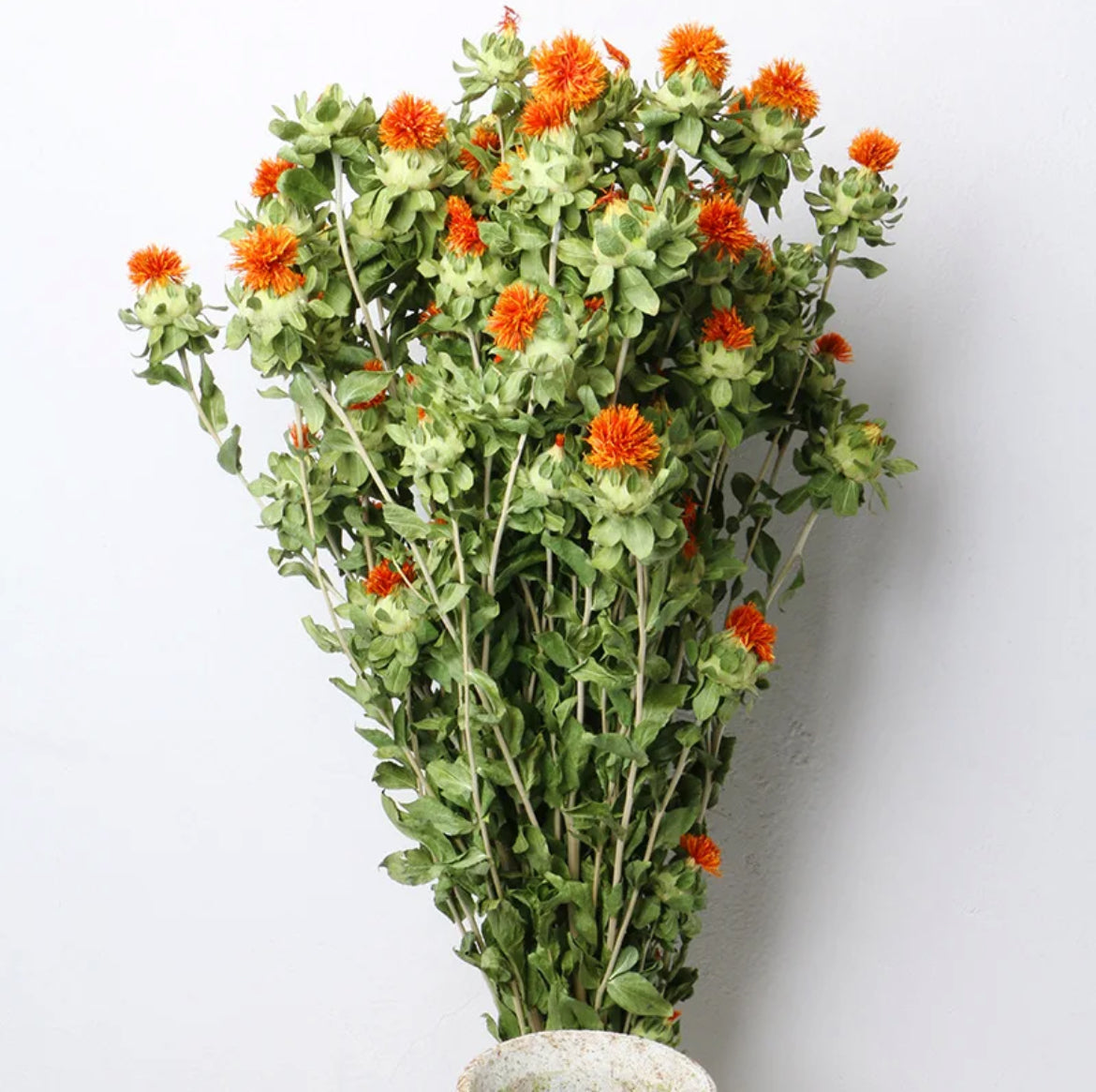 Dried safflower - https://artecasa.in/